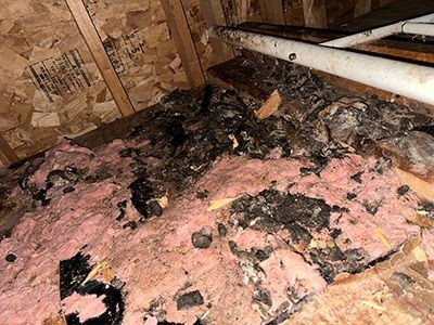 Soiled attic insulation and debris before cleanout