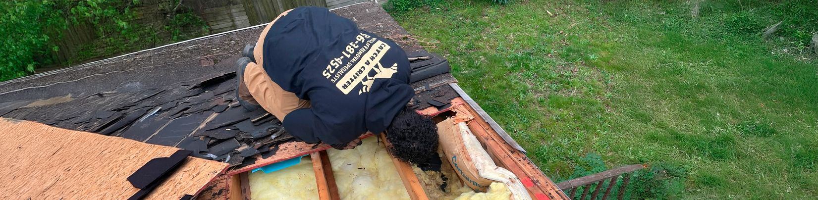 Technician in a Catch A Critter jacket repairing a damaged roof edge